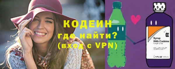 крисы Козельск