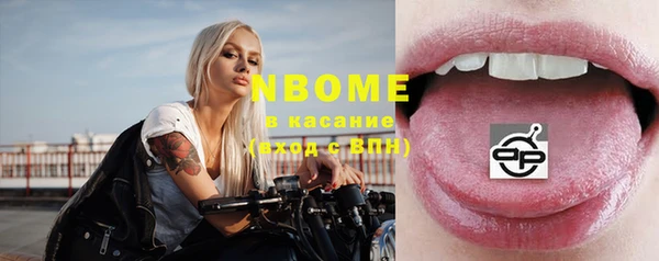 крисы Козельск