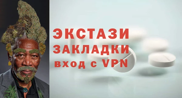 крисы Козельск