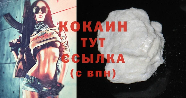 крисы Козельск