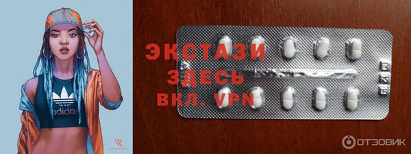 крисы Козельск