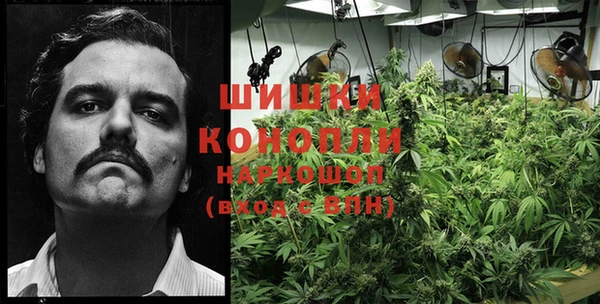 бошки Козловка