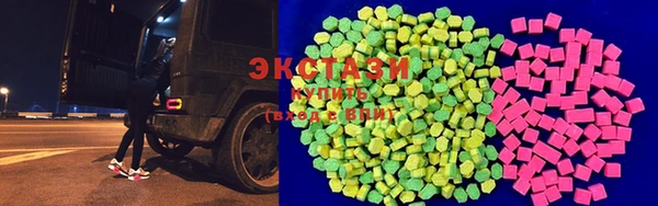 крисы Козельск
